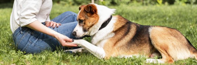 woman playing with her dog in the park